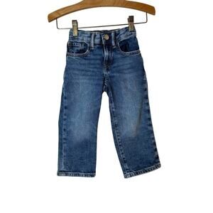 GAP Boy’s 90’s Loose Fit Jeans / Size: 2